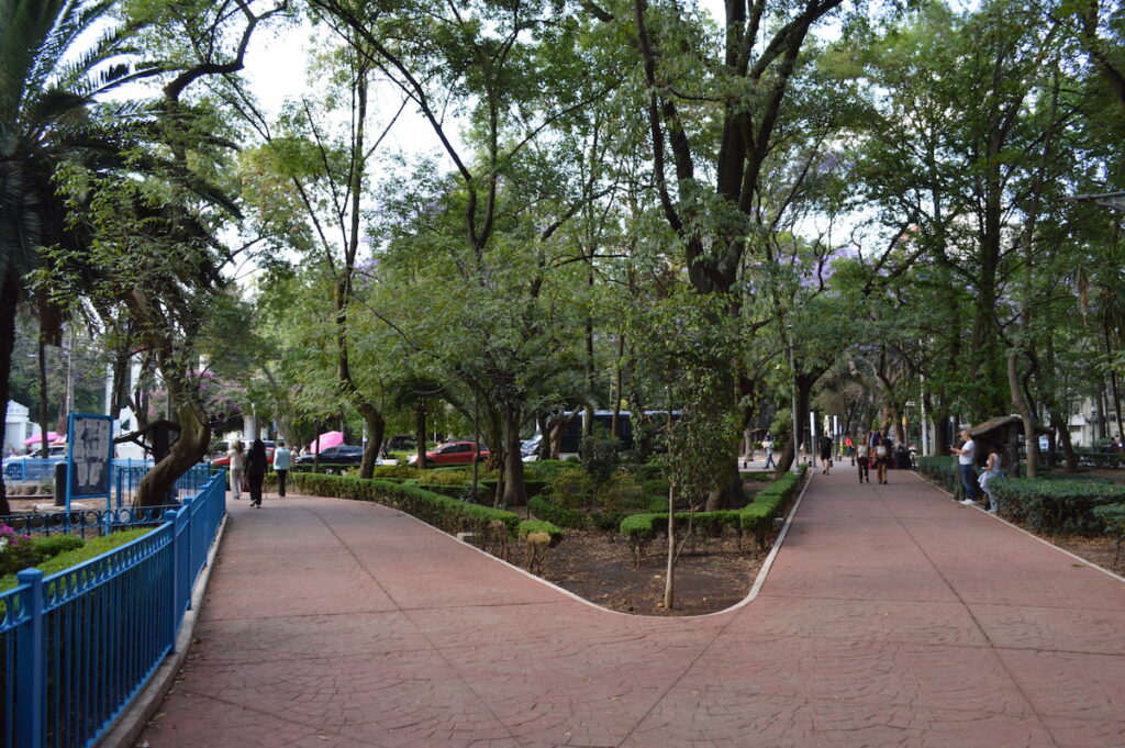 Tree canopies over walking paths in Parque Mexico in Colonia Hipodromo, Mexico City